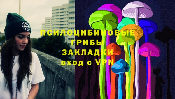 крисы Россошь