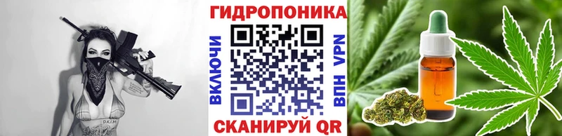 Бошки Шишки Amnesia Балей